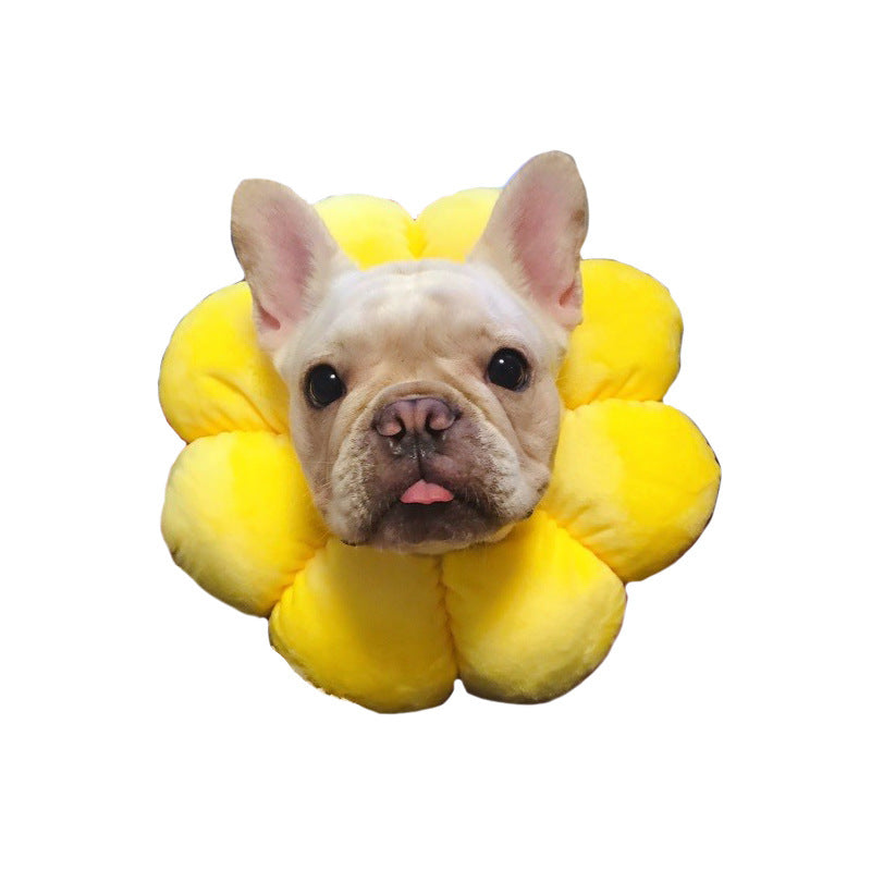 Sunflower pet collar