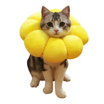 Sunflower pet collar