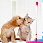 Pet hair removal broom hair remover