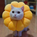 Sunflower pet collar