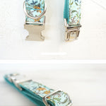 Pet dog collar with high quality soft comfort