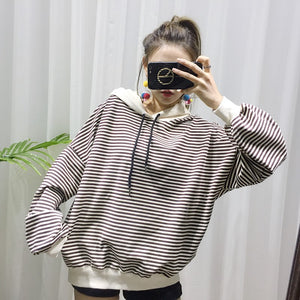 Hooded sweater pet clothing